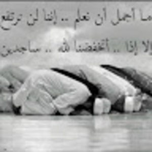 Meet your Posher, Sherif